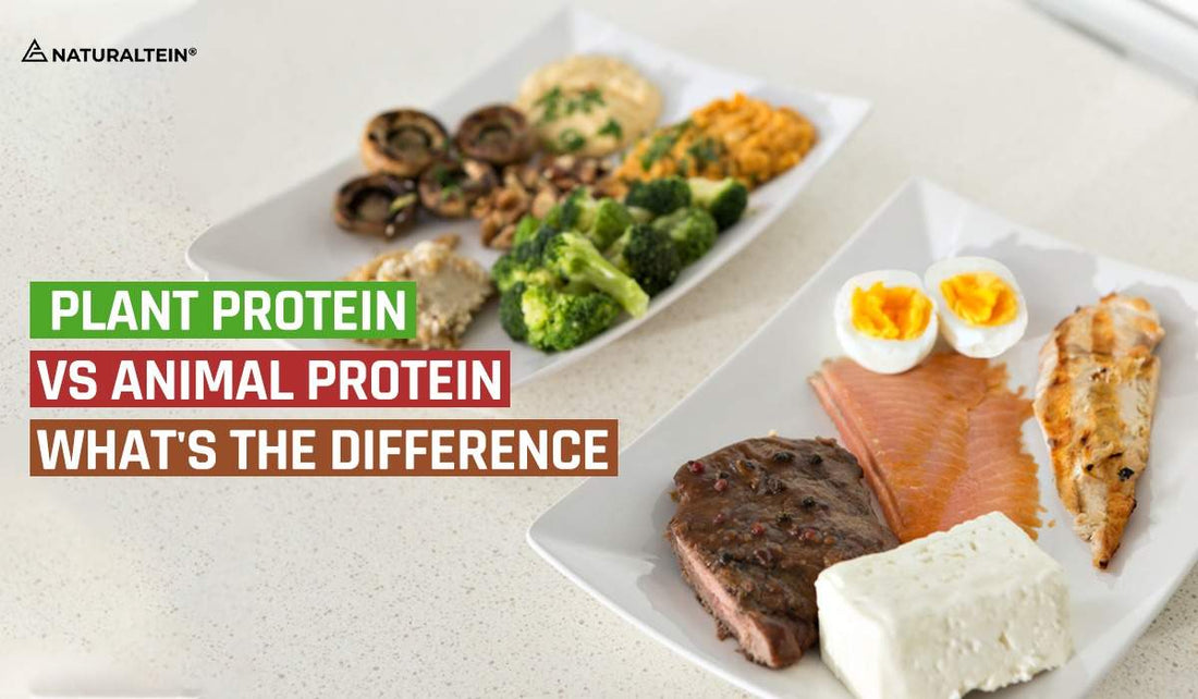 Plant protein vs Animal protein- What’s the difference?