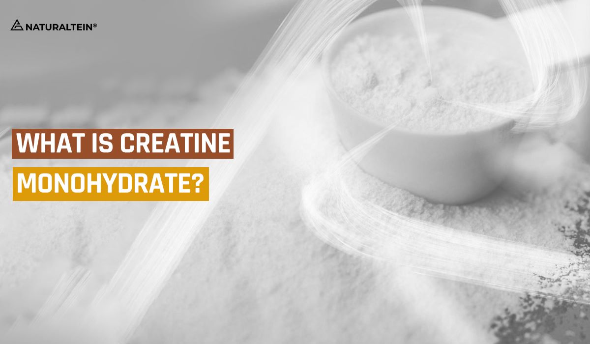 What is Creatine Monohydrate
