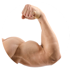 bicep whey protein isolate manufacturers bicep whey protein isolate manufacturers