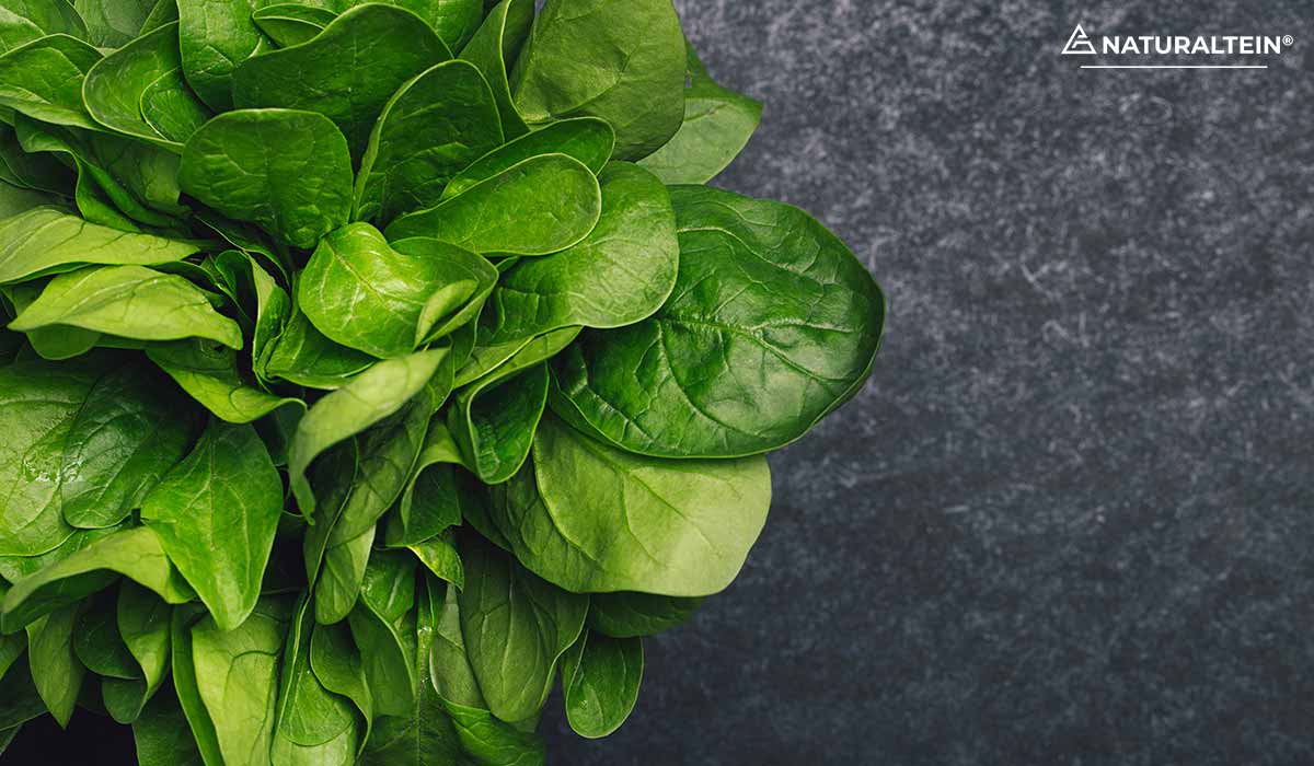 How to increase immunity power in body naturally Eat spinach