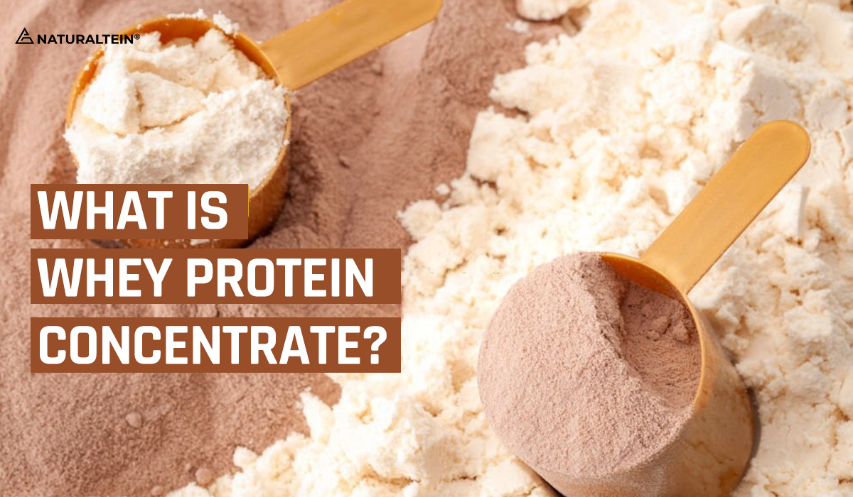 protein concentrate world best protein powder