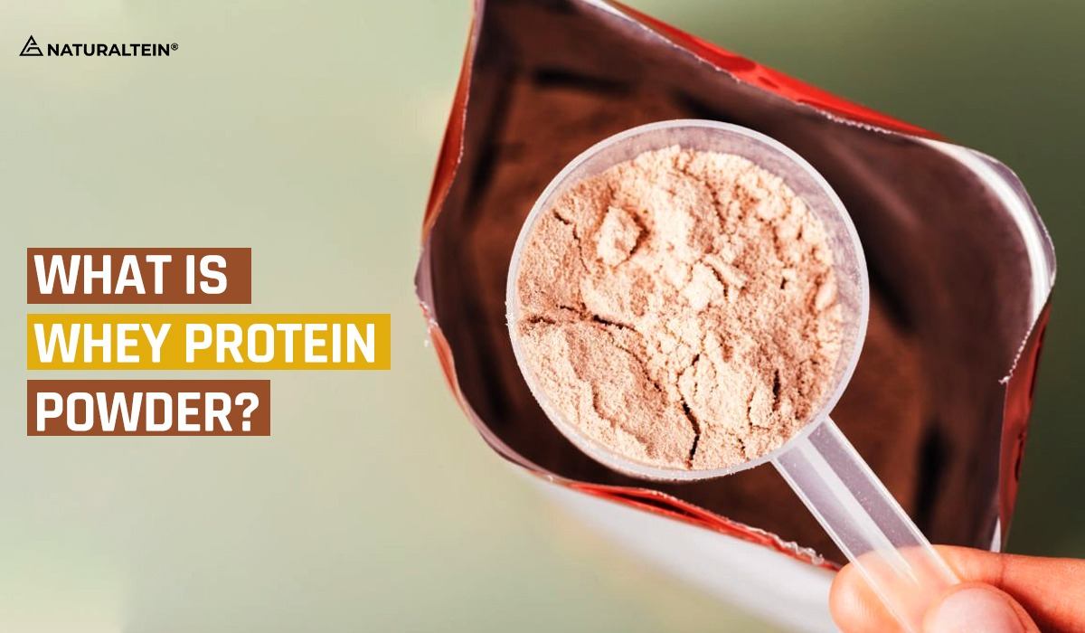 What is whey protein nutrition