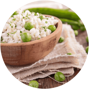 vegan protein powder india