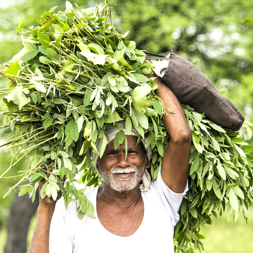 Farmer naturaltein Farmer naturaltein