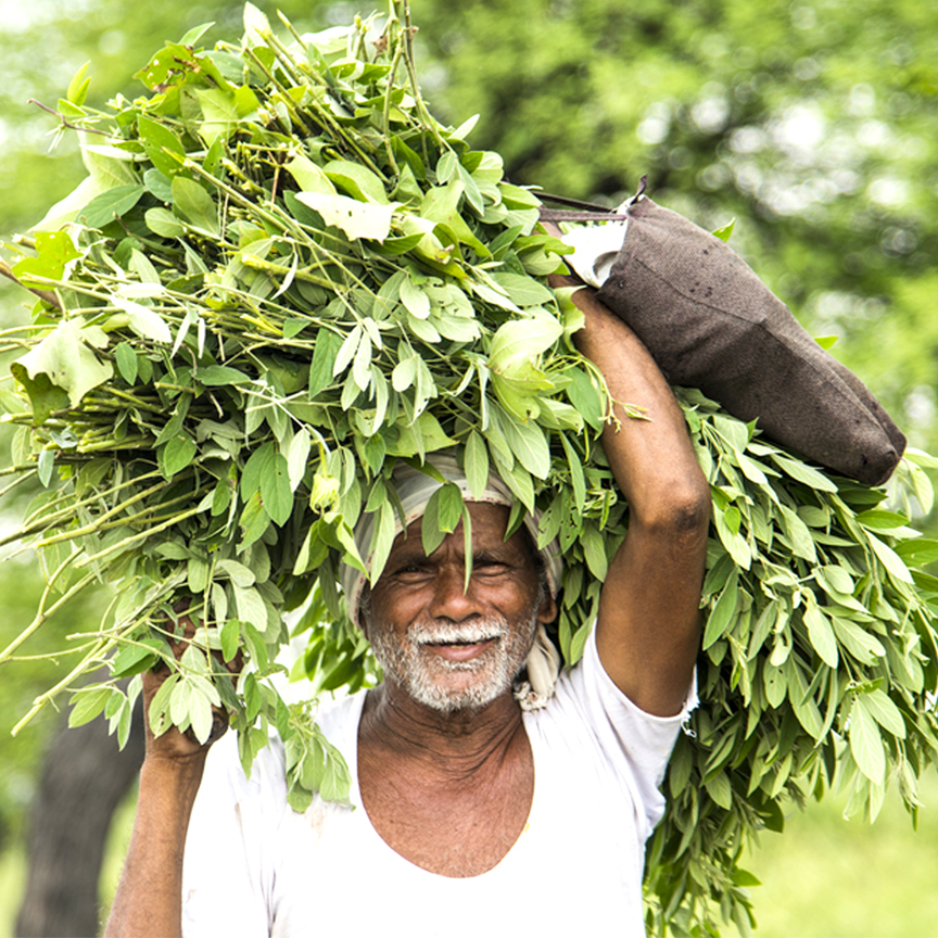 Farmer naturaltein