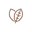 stevia
